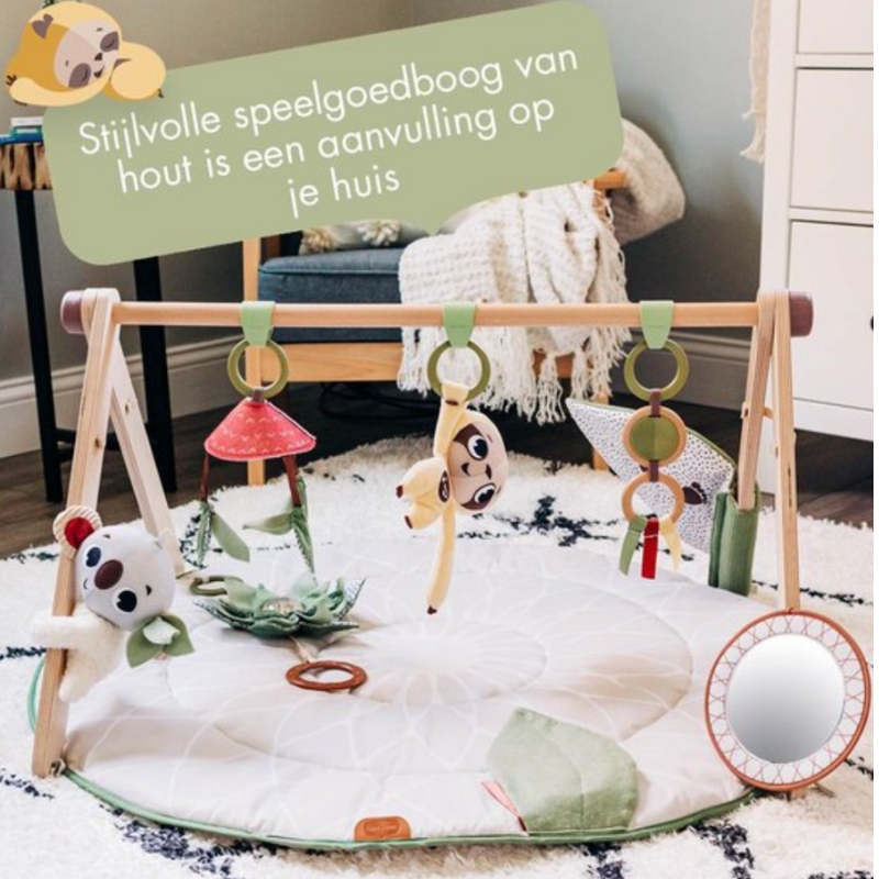 Tiny Love Luxe Gymini Babygym